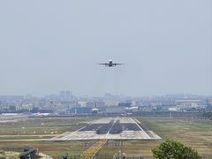 -空港花田景区