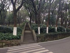 -上海市保健医疗中心(华东疗养院)