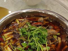 -高坎一品甲鱼庄(两河店)