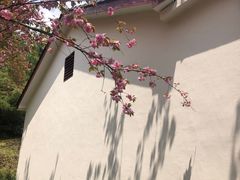 -四明山国家森林公园