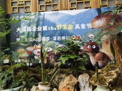-蔼若春.传承三十年云南菜(金碧公园店)