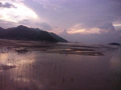 -北岐滩涂