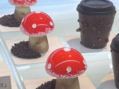 -TD66高山铁皮石斛养生茶饮