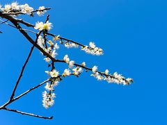 -广州市流溪河国家森林公园