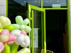 -油梨树AVOCADO TREE(顺义新国展店)