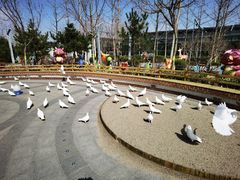 -南宫五洲植物乐园