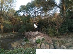 -南昌动物园