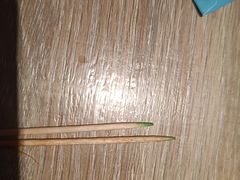 -野妹经典火锅(江夏中百店)