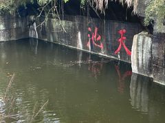 -千岛湖东南湖区