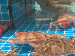 -百富源·海鲜辽菜(张士店)
