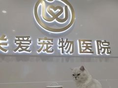 -关爱宠物医院·猫科中心·消化科(滨湖万达分院)
