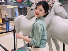 -红星美凯龙北京至尊MALL(东四环中路店)