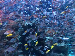 -成都浩海立方海洋公园