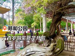 -郑和公园