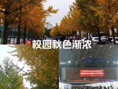 -东北大学(南湖校区)