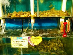 -蚝专家(北滘店)