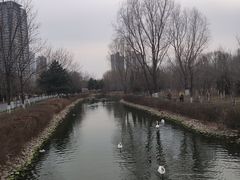 -长白岛森林公园