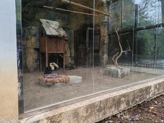-黔灵山公园