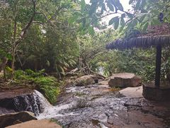 -呀诺达热带雨林