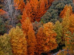 -南京市无想山景区