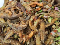 -大地土窑菜馆·特色罗浮农家菜(罗浮山景区店)