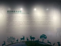 -北京麋鹿生态实验中心