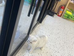 -瑞派康怡24h宠物医院·犬猫医疗中心·微创绝育(瑞景分院)
