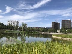 -西海子公园