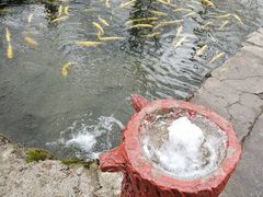 -可心烤鱼