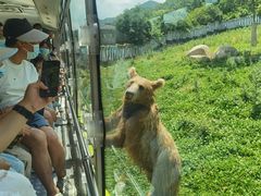 -西安秦岭野生动物园