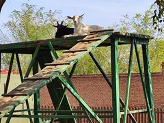 -清风小镇闯关东影视基地