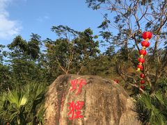 -野狸岛