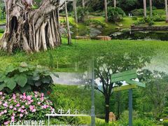 -云溪植物园