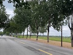 -汉长安城未央宫国家考古遗址公园