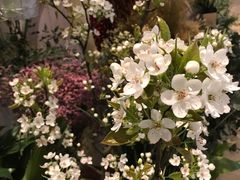 -婷意花宇TheGracesFloral(北外滩店)