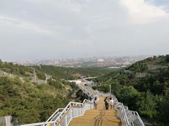 -大青山野生动物园