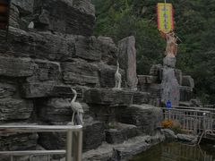 -大岭沟猕猴桃谷风景区