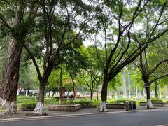 -广东外语外贸大学(白云山校区)