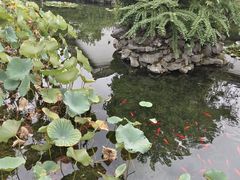 -东山雕花楼