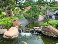 -罗红摄影艺术馆