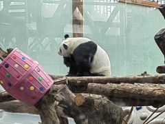 -青藏高原野生动物园