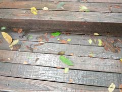 -天女山森林公园