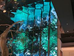 -桂满陇·海市蜃楼·黑金(国金店)