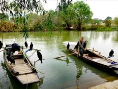 -长兴太湖图影湿地文化园
