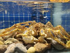 -健眺小海鲜(临海后山店)