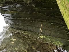-重庆神龙峡漂流