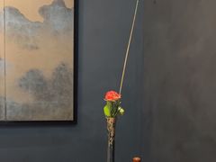 -觀芷隐轩