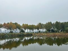 -金银湖国家城市湿地公园