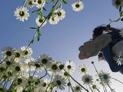 -汉长安城未央宫国家考古遗址公园