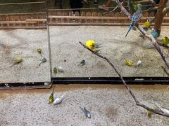 -上海大自然野生昆虫馆